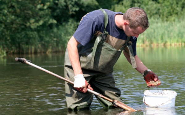 Wildlife & Conservation Careers without going to University