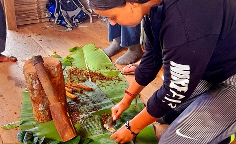 Amazonian Traditional Plant Medicine Internship